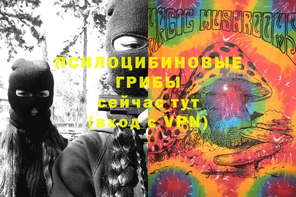 Альфа ПВП Михайловск