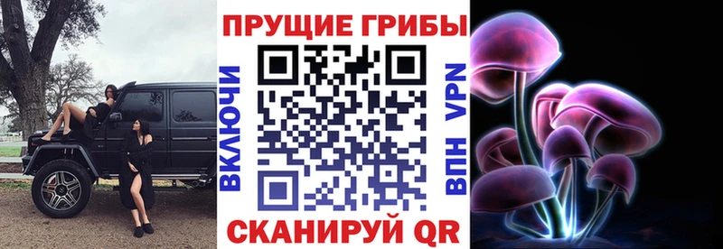 Псилоцибиновые грибы Magic Shrooms  закладки  Цивильск 